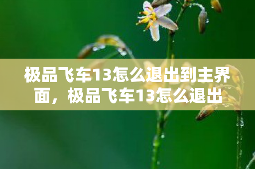 极品飞车13怎么退出到主界面,极品飞车13怎么退出 极品飞车13怎么退出到主界面,极品飞车13怎么退出