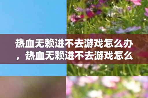 热血无赖进不去游戏怎么办，热血无赖进不去游戏怎么办？解决方法大揭秘！