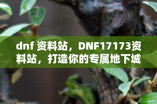dnf 资料站，DNF17173资料站，打造你的专属地下城与勇士攻略