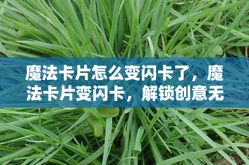 魔法卡片怎么变闪卡了,魔法卡片变闪卡,解锁创意无限的DIY乐趣 魔法卡片怎么变闪卡了,魔法卡片变闪卡,解锁创意无限的DIY乐趣