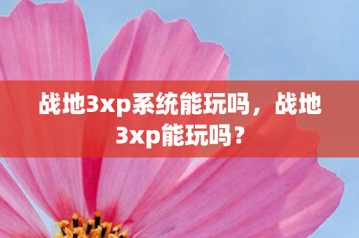 战地3xp系统能玩吗,战地3xp能玩吗? 战地3xp系统能玩吗,战地3xp能玩吗?