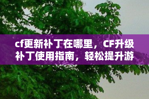 cf更新补丁在哪里，CF升级补丁使用指南，轻松提升游戏体验