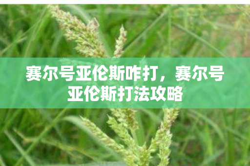 赛尔号亚伦斯咋打，赛尔号亚伦斯打法攻略