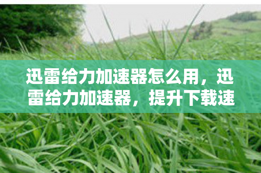 迅雷给力加速器怎么用，迅雷给力加速器，提升下载速度，畅享高速网络体验