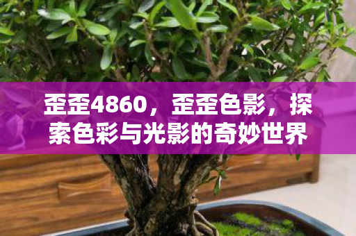 歪歪4860，歪歪色影，探索色彩与光影的奇妙世界