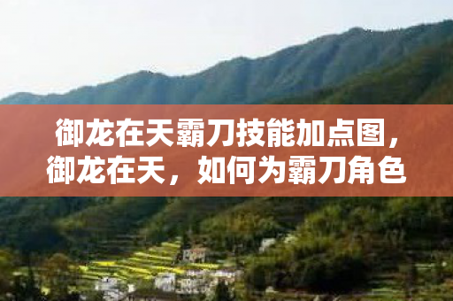 御龙在天霸刀技能加点图，御龙在天，如何为霸刀角色加点技能？