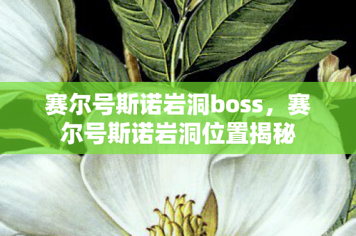 赛尔号斯诺岩洞boss,赛尔号斯诺岩洞位置揭秘 赛尔号斯诺岩洞boss,赛尔号斯诺岩洞位置揭秘
