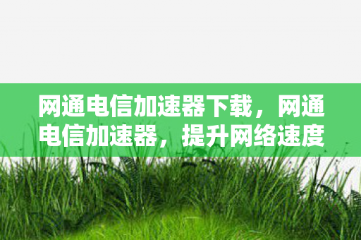 网通电信加速器下载，网通电信加速器，提升网络速度，畅享高速体验