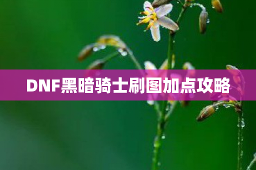 DNF黑暗骑士刷图加点攻略 DNF黑暗骑士刷图加点攻略