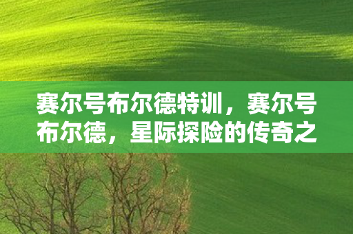 赛尔号布尔德特训，赛尔号布尔德，星际探险的传奇之旅