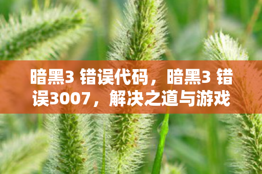 暗黑3 错误代码，暗黑3 错误3007，解决之道与游戏心得