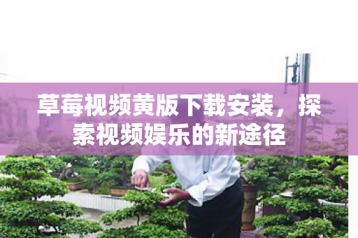 草莓视频黄版下载安装，探索视频娱乐的新途径
