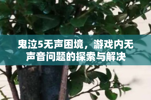 鬼泣5无声困境，游戏内无声音问题的探索与解决