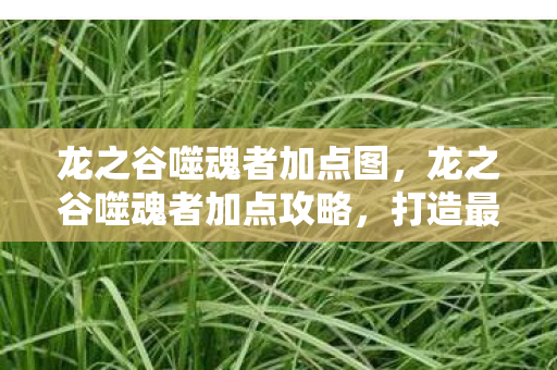 龙之谷噬魂者加点图，龙之谷噬魂者加点攻略，打造最强输出角色