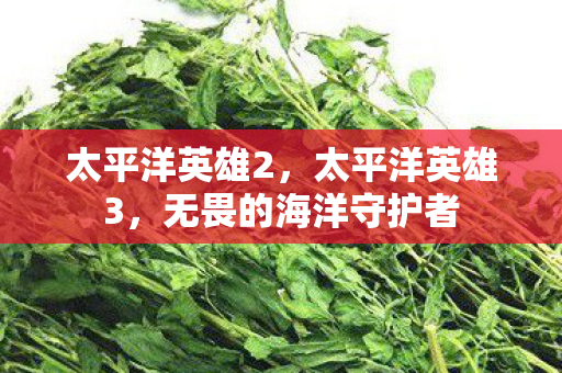 太平洋英雄2，太平洋英雄3，无畏的海洋守护者