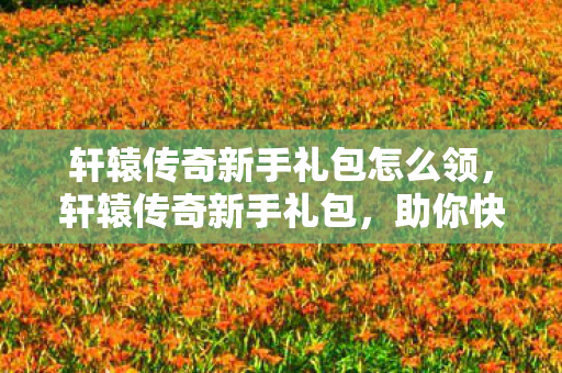 轩辕传奇新手礼包怎么领，轩辕传奇新手礼包，助你快速启程的秘籍