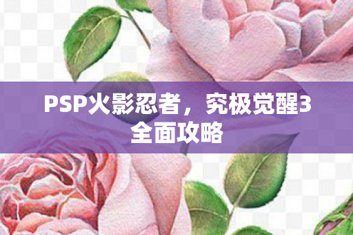 PSP火影忍者，究极觉醒3全面攻略