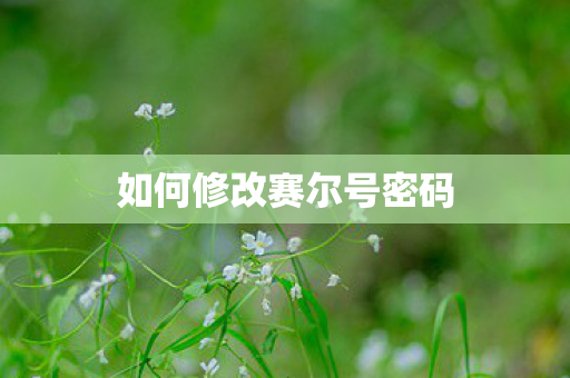 如何修改赛尔号密码