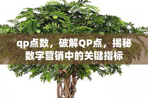 qp点数，破解QP点，揭秘数字营销中的关键指标