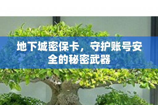 地下城密保卡，守护账号安全的秘密武器