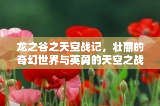 龙之谷之天空战记，壮丽的奇幻世界与英勇的天空之战