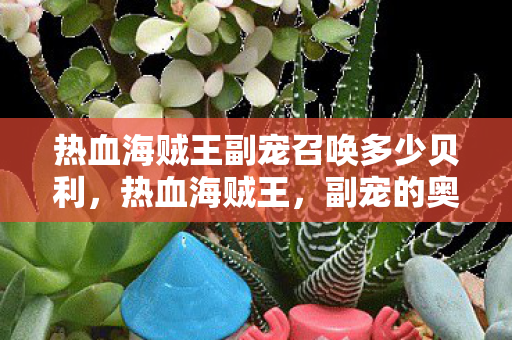 热血海贼王副宠召唤多少贝利，热血海贼王，副宠的奥秘与培养策略