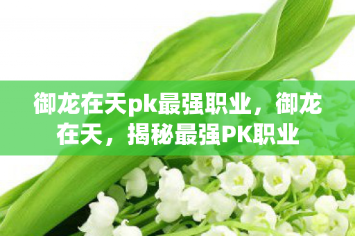 御龙在天pk最强职业,御龙在天,揭秘最强PK职业 御龙在天pk最强职业,御龙在天,揭秘最强PK职业