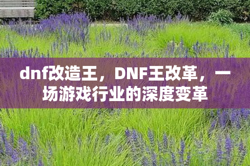 dnf改造王,DNF王改革,一场游戏行业的深度变革 dnf改造王,DNF王改革,一场游戏行业的深度变革