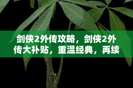 剑侠2外传攻略，剑侠2外传大补贴，重温经典，再续江湖情缘