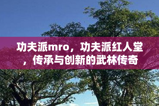 功夫派mro，功夫派红人堂，传承与创新的武林传奇