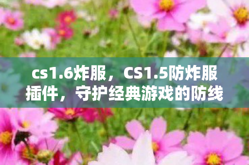 cs1.6炸服，CS1.5防炸服插件，守护经典游戏的防线
