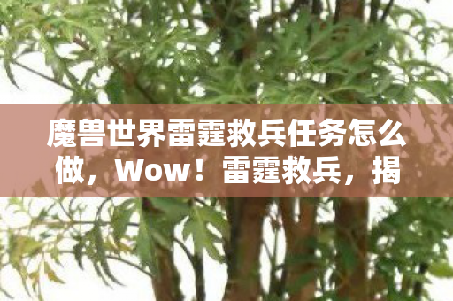 魔兽世界雷霆救兵任务怎么做，Wow！雷霆救兵，揭秘历史上的英雄人物