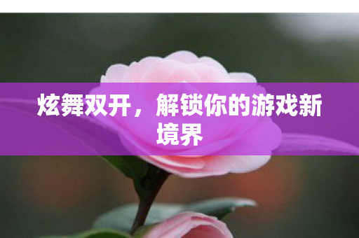 炫舞双开,解锁你的游戏新境界 炫舞双开,解锁你的游戏新境界