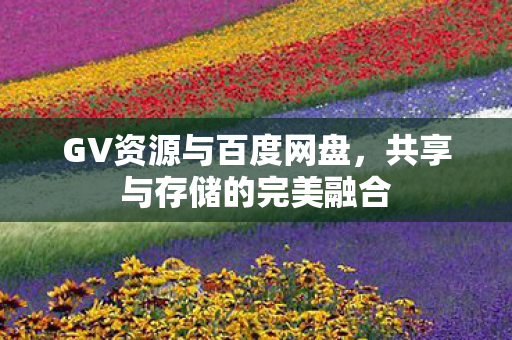 GV资源与百度网盘,共享与存储的完美融合 GV资源与百度网盘,共享与存储的完美融合