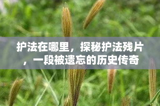 护法在哪里，探秘护法残片，一段被遗忘的历史传奇