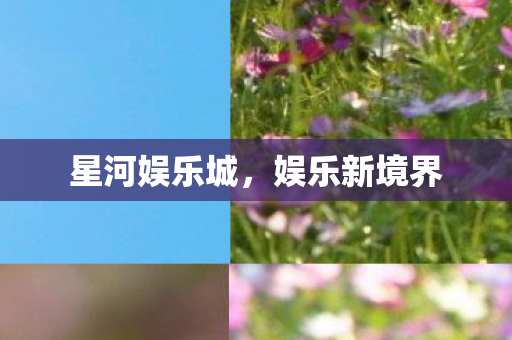 星河娱乐城,娱乐新境界 星河娱乐城,娱乐新境界