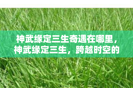神武缘定三生奇遇在哪里，神武缘定三生，跨越时空的浪漫传奇
