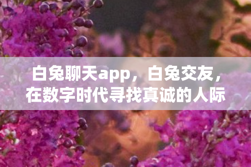 白兔聊天app,白兔交友,在数字时代寻找真诚的人际交往 白兔聊天app,白兔交友,在数字时代寻找真诚的人际交往