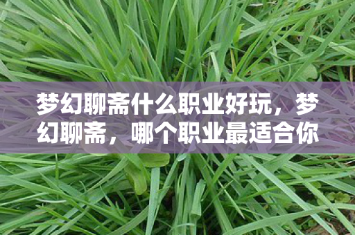 梦幻聊斋什么职业好玩,梦幻聊斋,哪个职业最适合你? 梦幻聊斋什么职业好玩,梦幻聊斋,哪个职业最适合你?