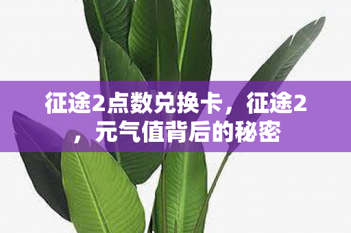 征途2点数兑换卡,征途2,元气值背后的秘密 征途2点数兑换卡,征途2,元气值背后的秘密