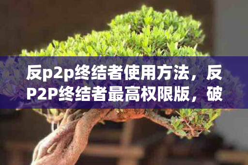 反p2p终结者使用方法，反P2P终结者最高权限版，破解网络控制的利器