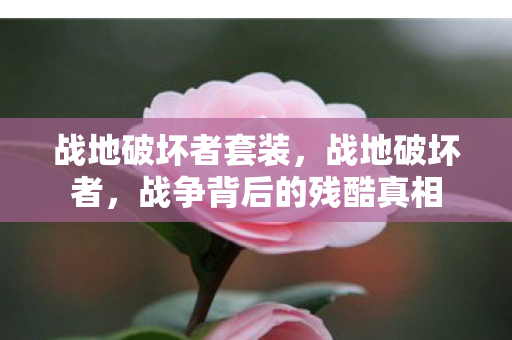 战地破坏者套装，战地破坏者，战争背后的残酷真相