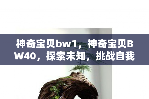 神奇宝贝bw1，神奇宝贝BW40，探索未知，挑战自我