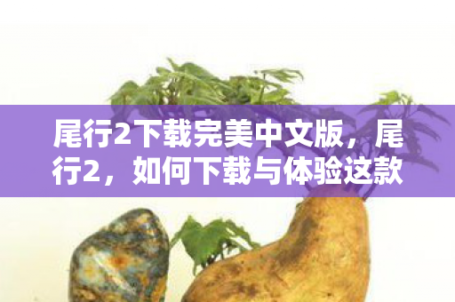 尾行2下载完美中文版，尾行2，如何下载与体验这款经典冒险游戏