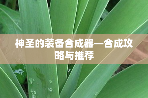 神圣的装备合成器—合成攻略与推荐