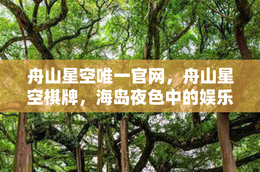 舟山星空唯一官网，舟山星空棋牌，海岛夜色中的娱乐新选择