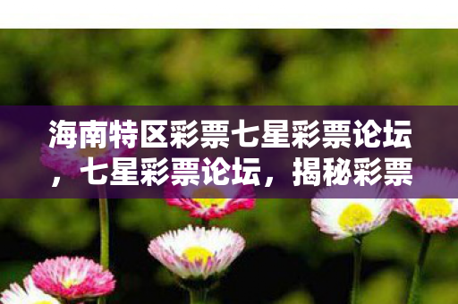 海南特区彩票七星彩票论坛，七星彩票论坛，揭秘彩票背后的秘密