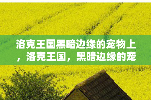 洛克王国黑暗边缘的宠物上，洛克王国，黑暗边缘的宠物