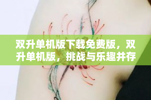 双升单机版下载免费版，双升单机版，挑战与乐趣并存的经典卡牌游戏