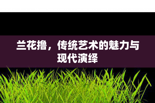 兰花撸，传统艺术的魅力与现代演绎